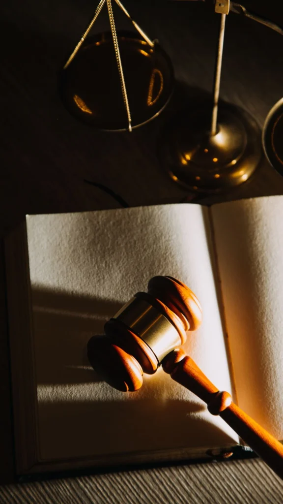 Pro Bono Legal Representation