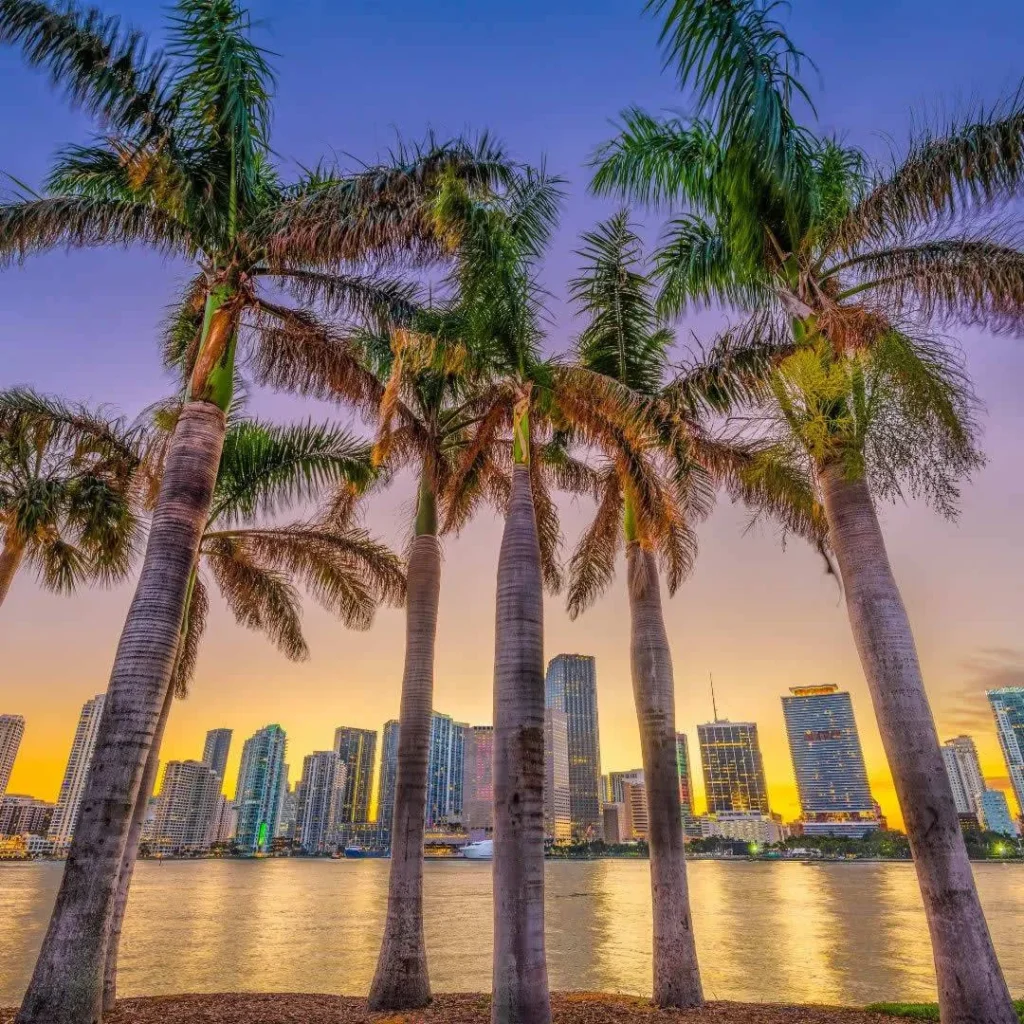 Serving Clients in These Key South Florida Cities