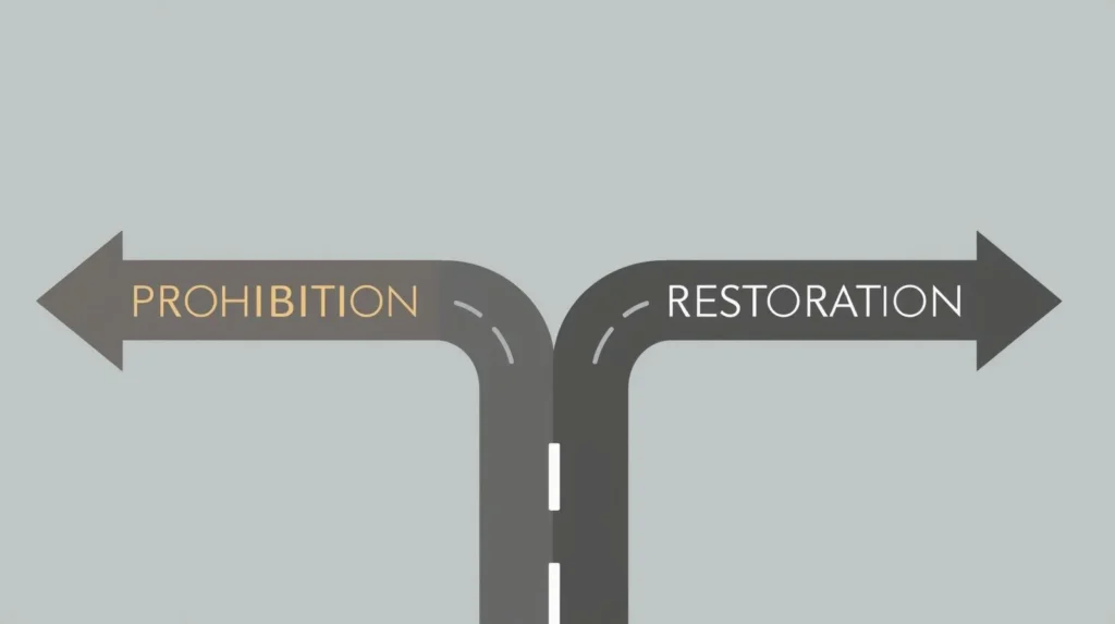 Exceptions and Rights Restoration Options