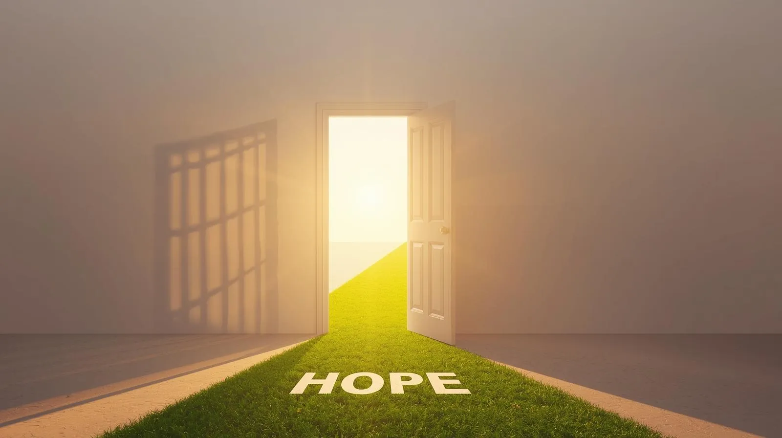 Palm Beach Drug Court Alternative Sentencing for Offenders